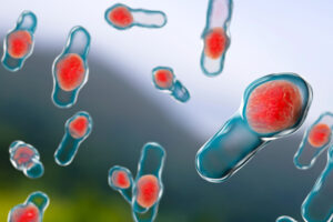 3D-illustration-of-Clostridium-difficile-bacteria