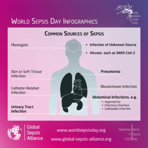 Graphic of common sources of Sepsis